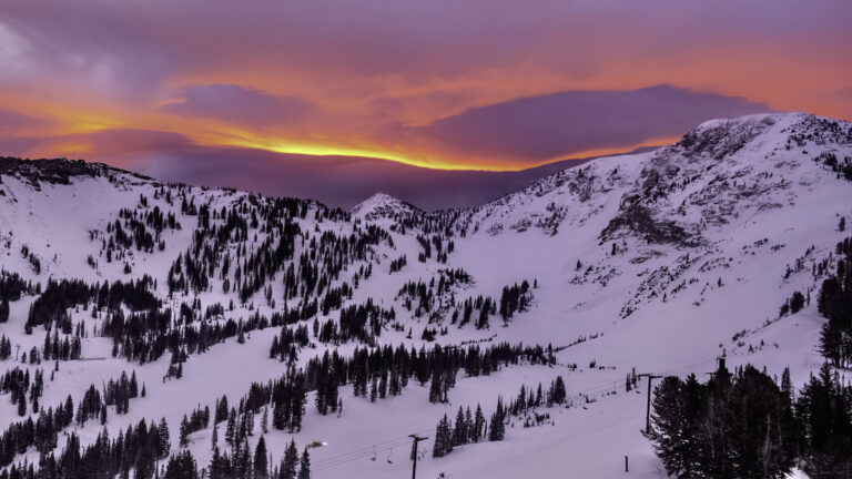 Alta Watermark
